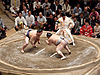 Sumo-Japan.jpg