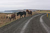 Vatnsnesvegur, Iceland