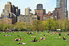 3015-Central Park-Sheep Meadow.JPG