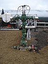 Wellhead-dual completion.jpg